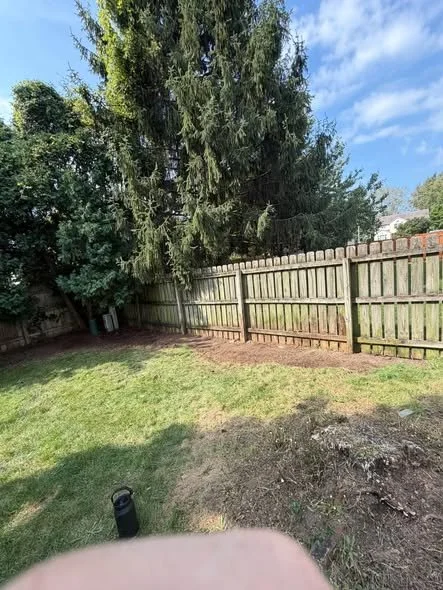 After cleanup