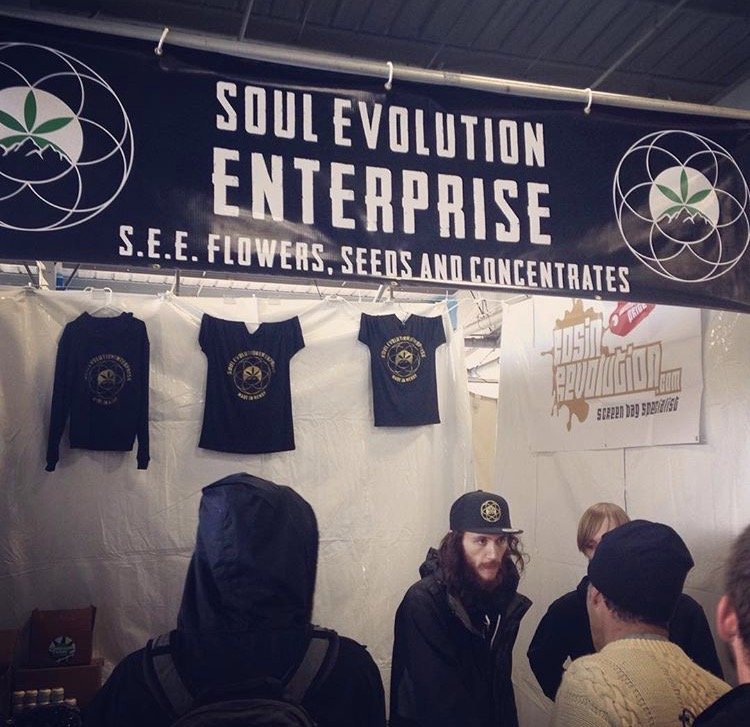 Brand identity in use
