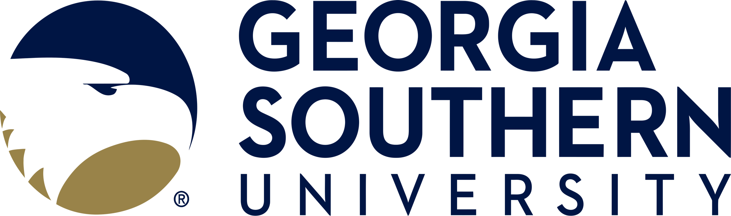 Georgia Southern University