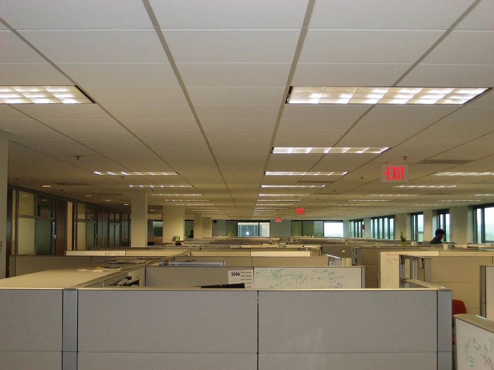 Open office floor with rows of cubicles